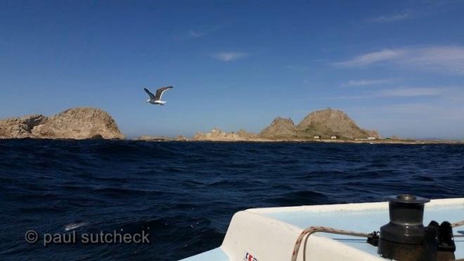 Northern California Offshore Racing - Doublehanded Farallones Race 2015 © Paul Sutcheck